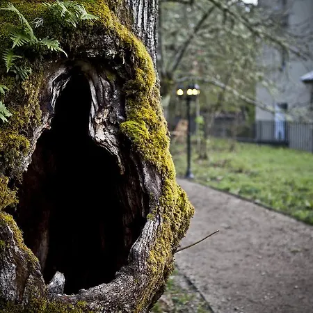 Pensionat A Fabrica Da Luz Cristosende