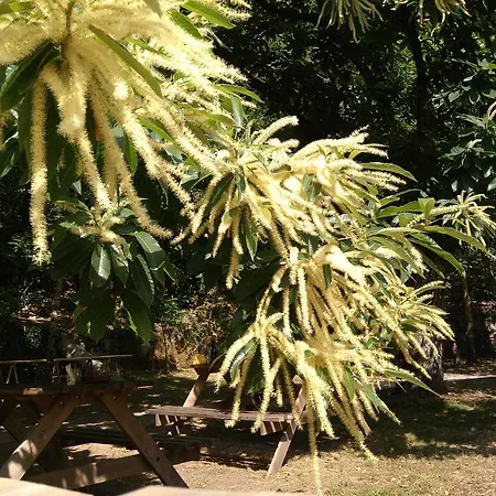 A Fabrica Da Luz Pensionat