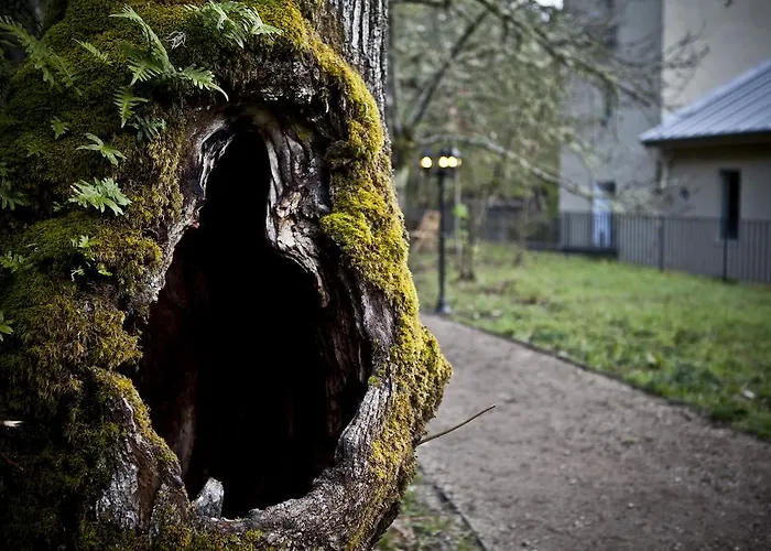 ゲストハウス A Fabrica Da Luz Cristosende