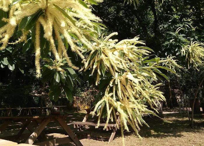 A Fabrica Da Luz ゲストハウス